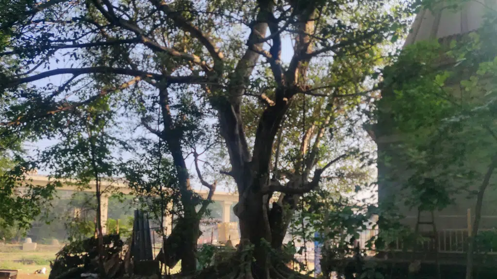 Maharshi Annashaha Bupat Wardhan Samadhi Mandir