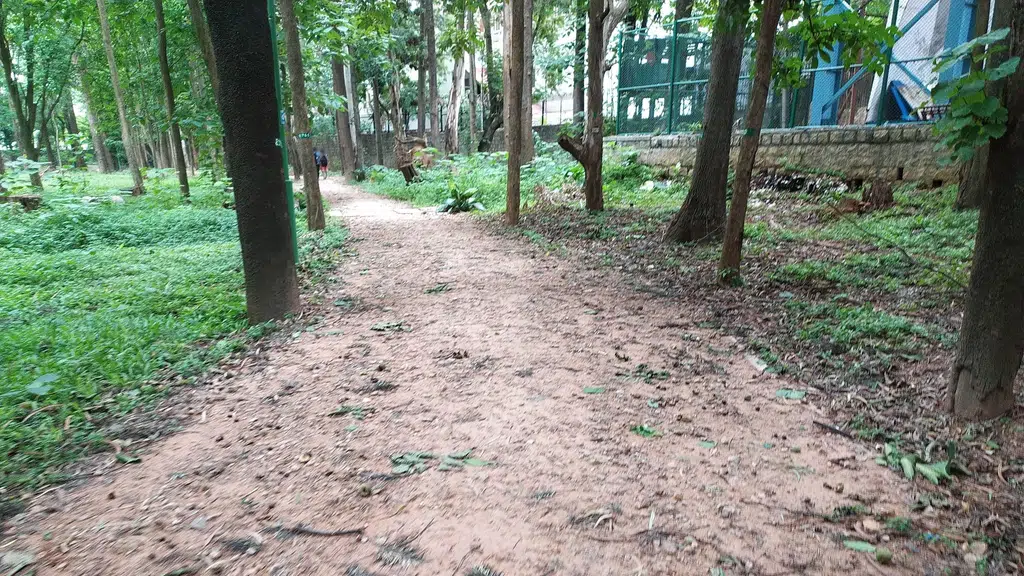 Pind Balluchi Bangalore