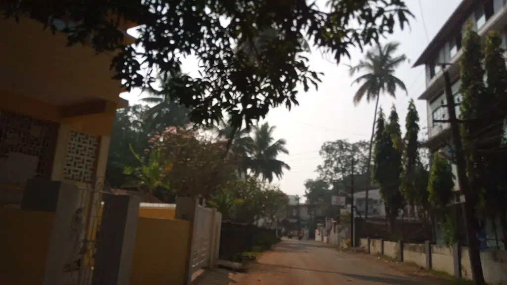 Hotel Viva Calangute