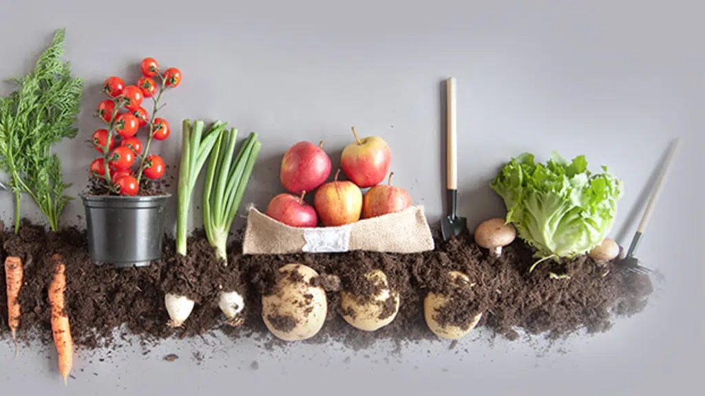 Earth Root Spices and Herbs