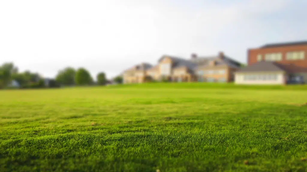 Arbor Realty