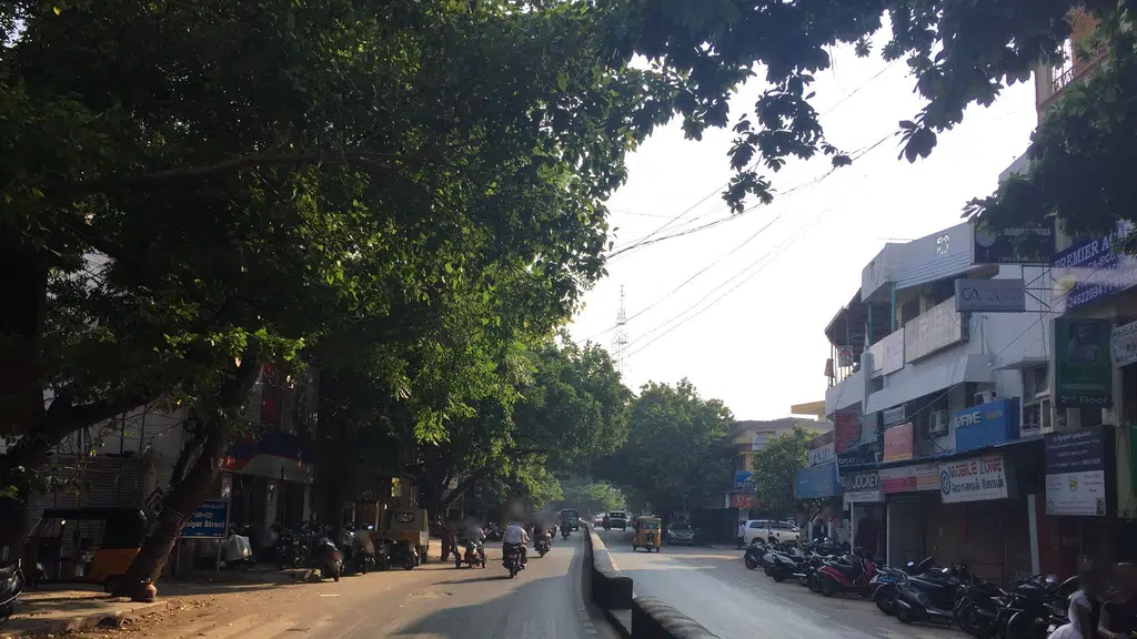 Tamil Nadu State Apex Cooperative Bank Mandaveli Branch