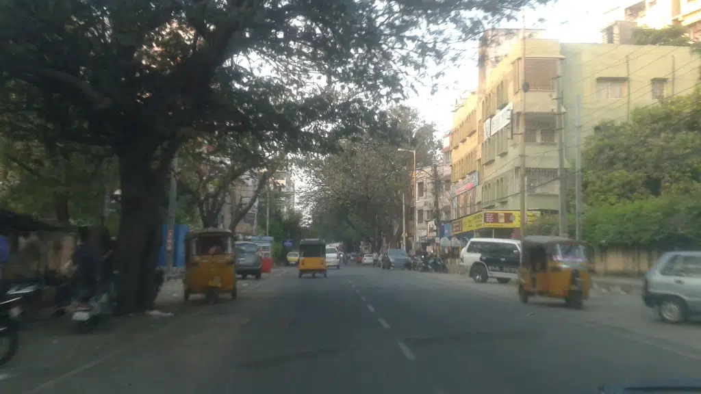 Andhra Pradesh Veterinary Council