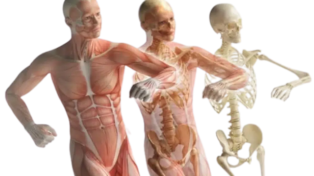 Dr. Chintan Dalal's - Cure4Pain