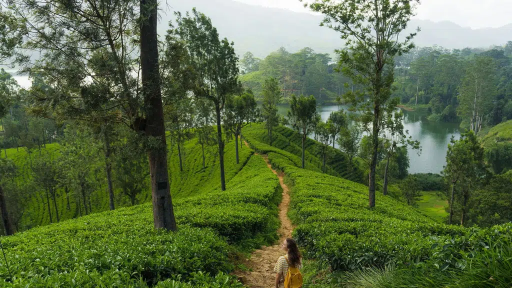 Shri Krishna Tours and Travels