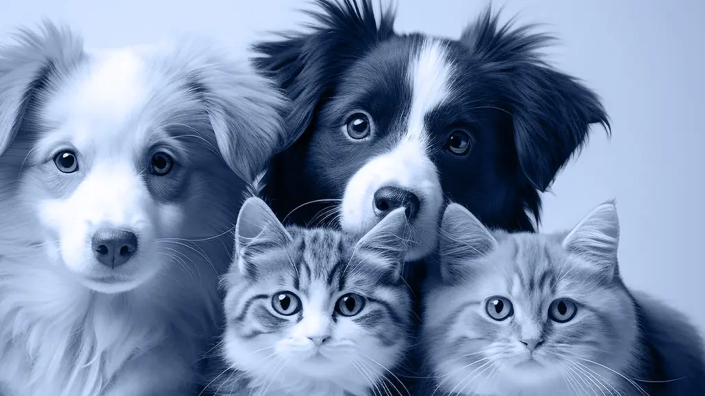 Papa's Life Line Veterinary Hospital