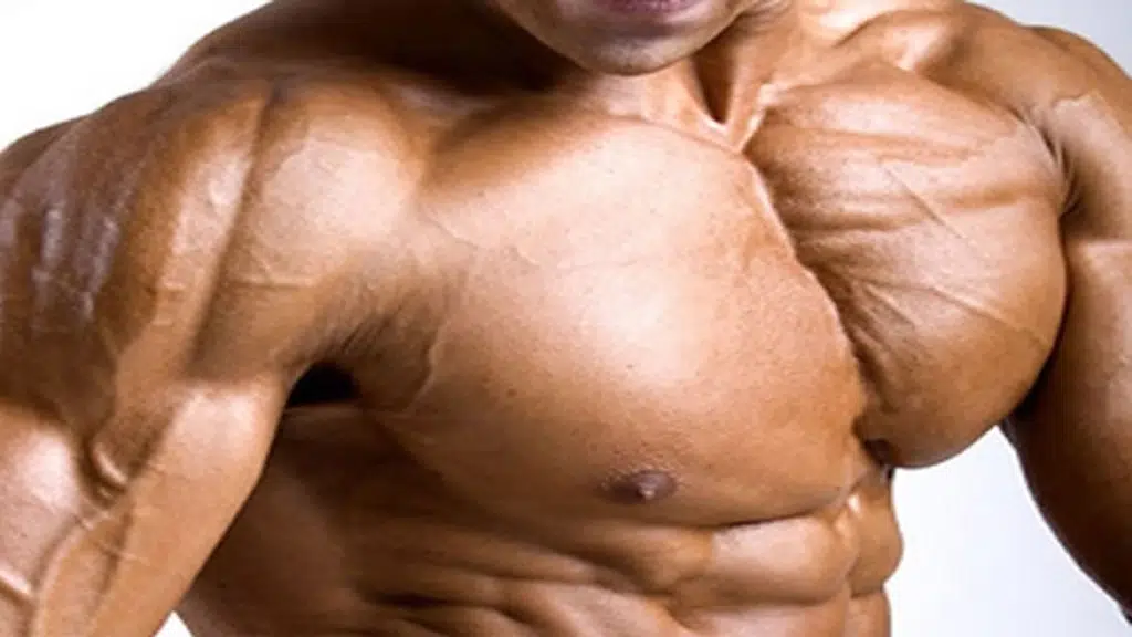 Shalem Nutrition