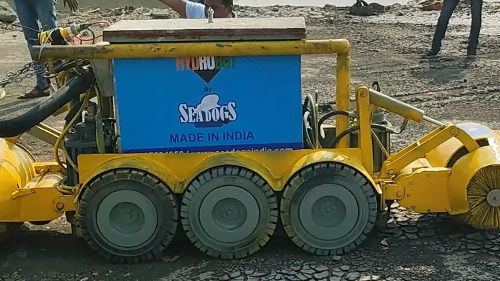 Sea Dogs Pvt Ltd
