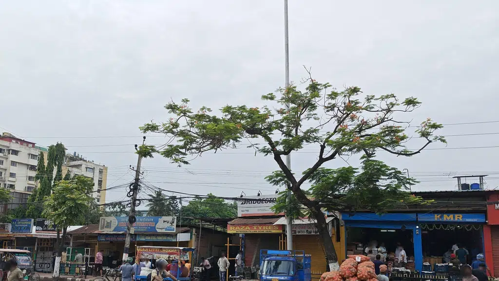 Maruti Suzuki Arena