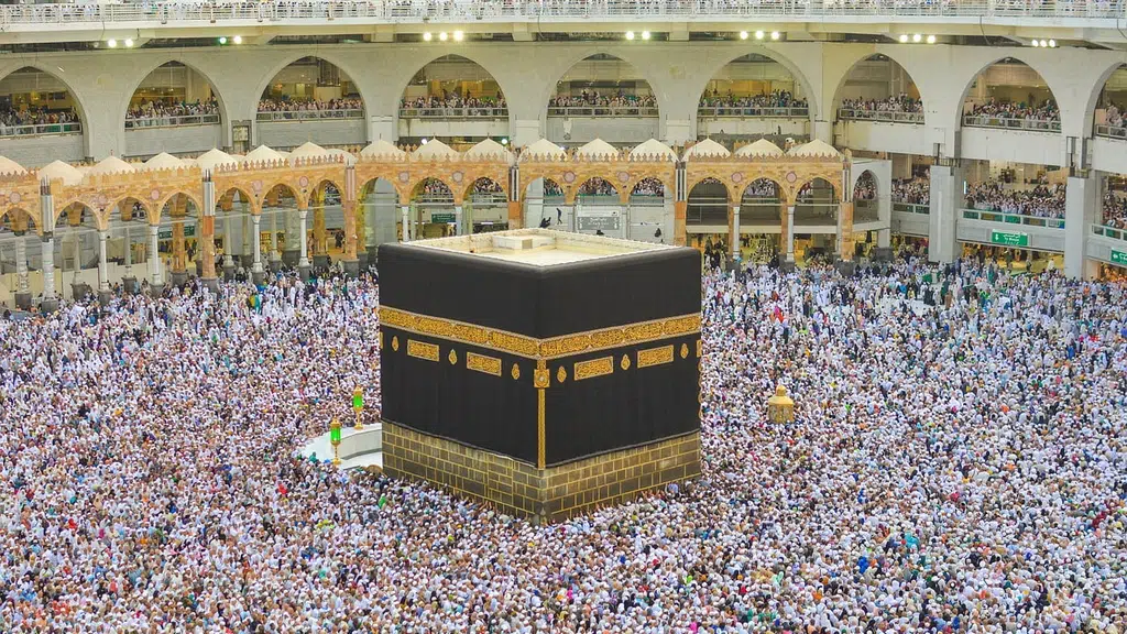 Al Haleem International Tour and Travels