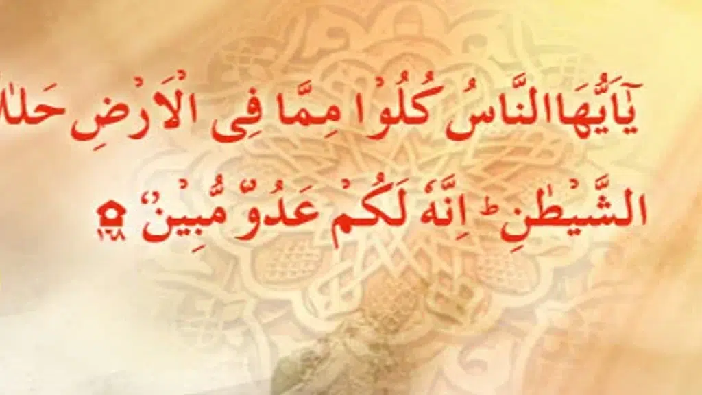 Jamiat Ulama-I-Hind Halal Trust