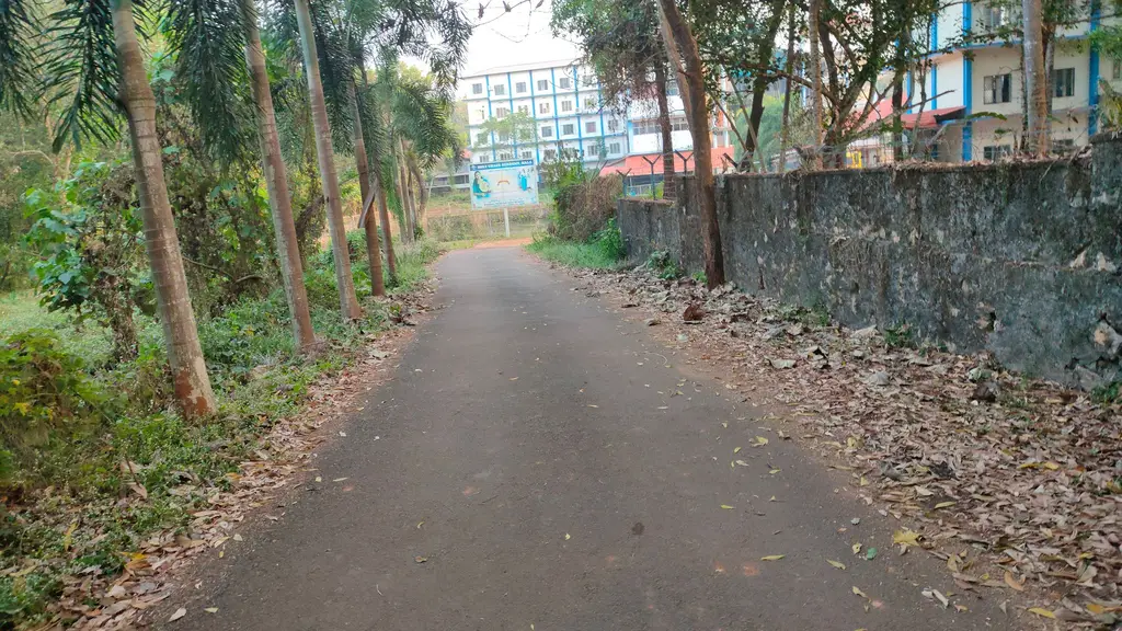 Holy Grace Academy of Pharmacy