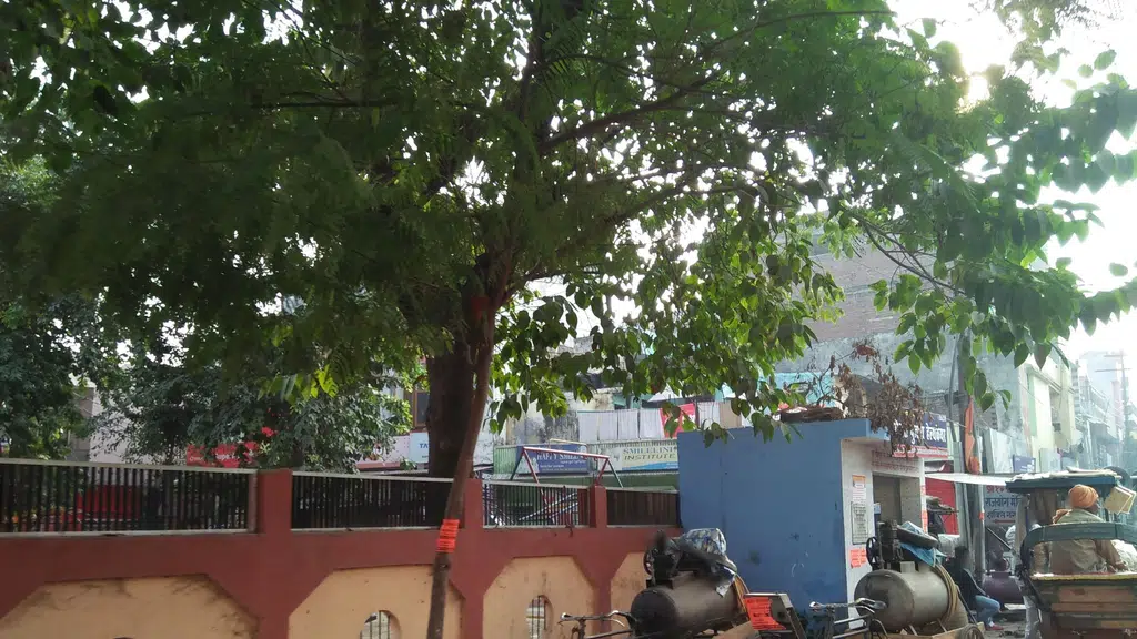 Mansarover Girls Inter College