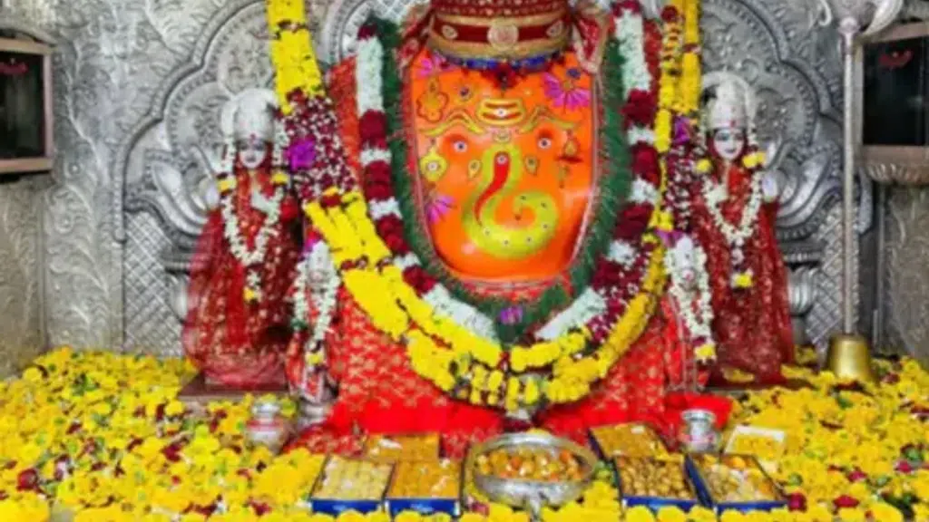 Suhani tour and travels