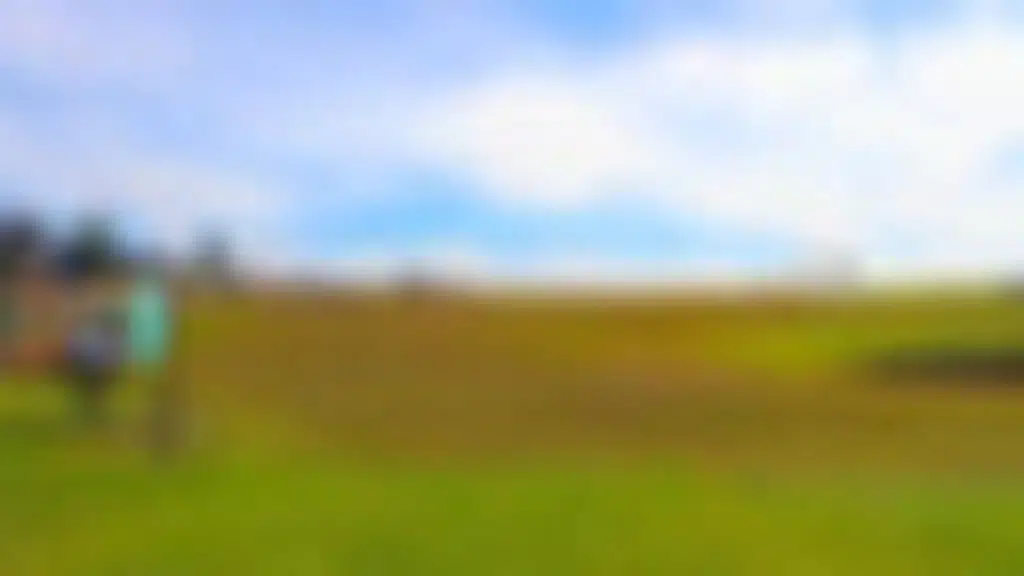 Mercara Downs Golf Club