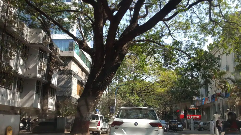 Vasteya Architects and Designers
