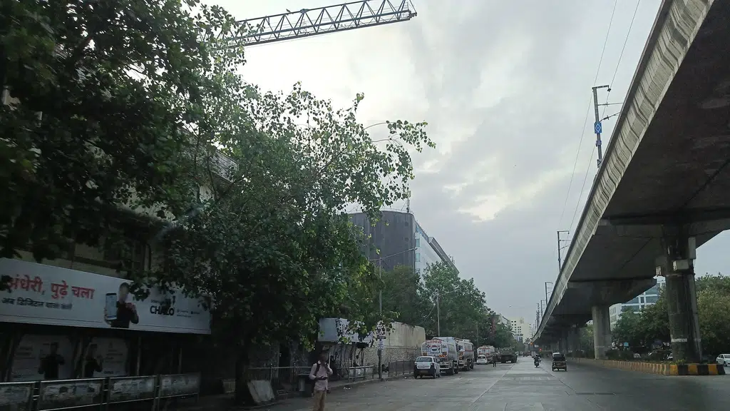 Shri Rajasthani Seva Sangh