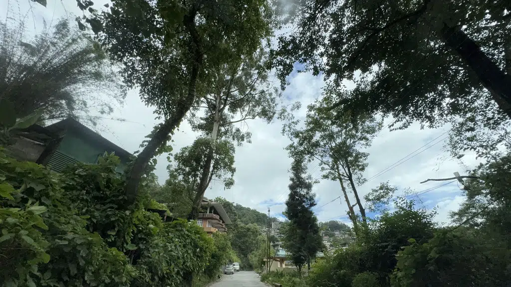SDC L.Dzongu.
