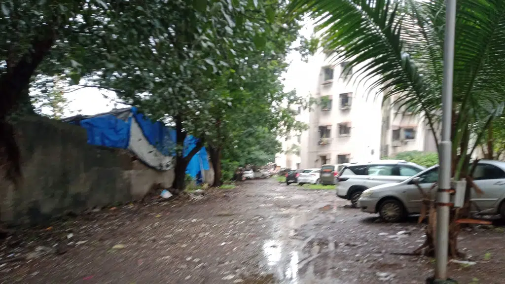 Shree Samarth Krupa Academy