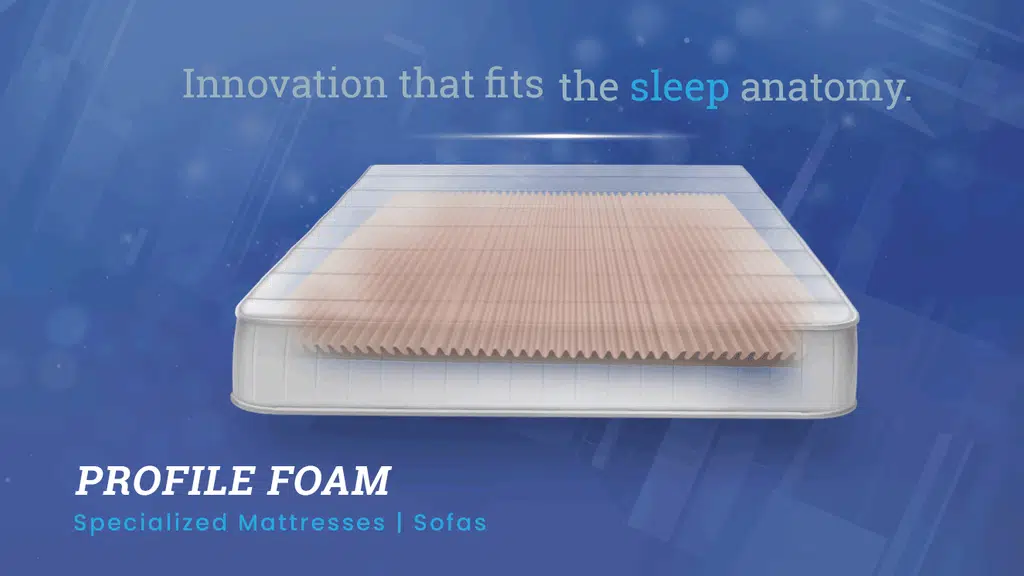 Shree Sacha Foam Industries