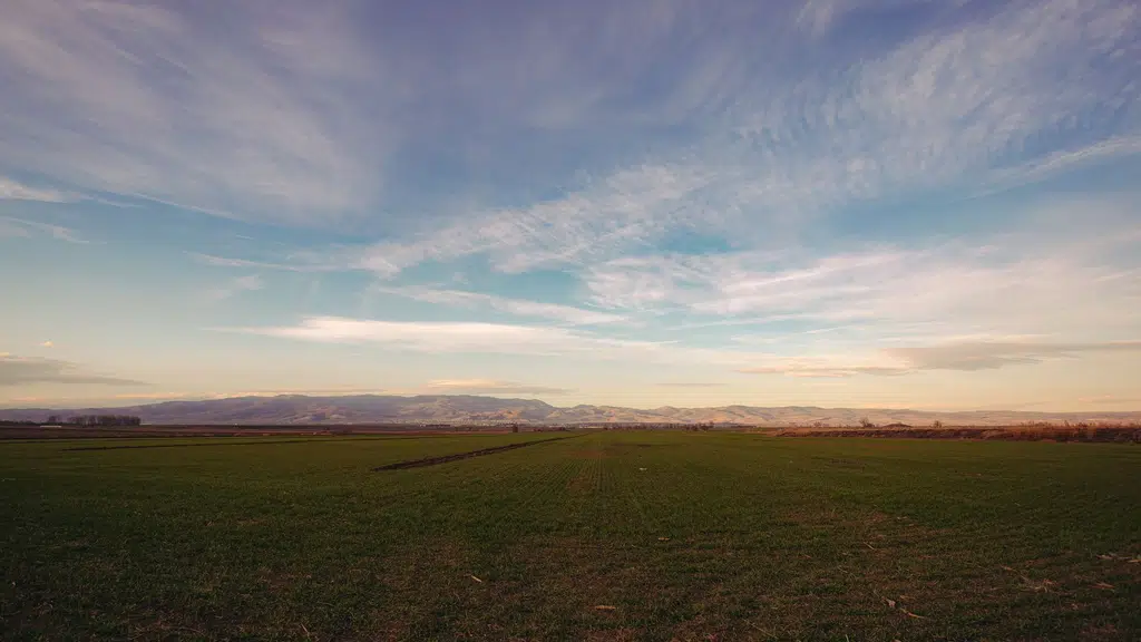 Kisan Agro Industries