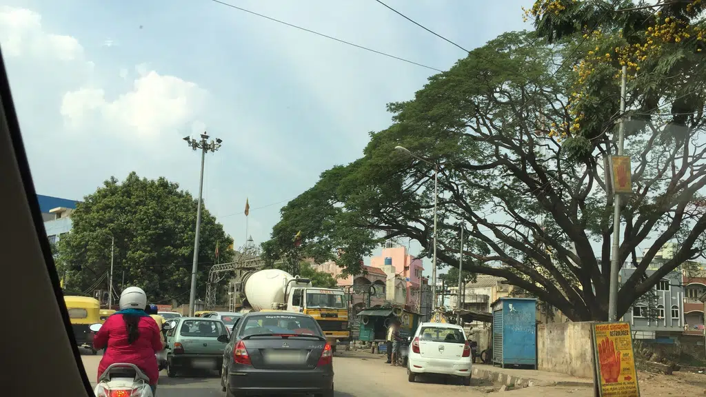 P Srinivasalu General Store