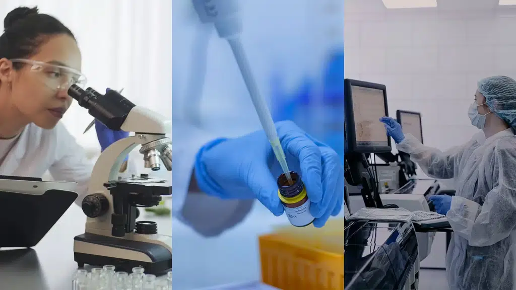 BioTalent Search Private Limited