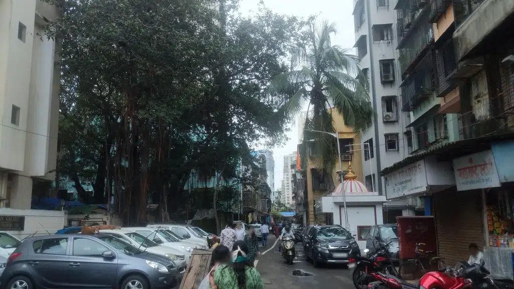 Navi mumbai,panvel