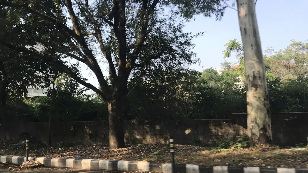 Goli Vada Pav No 1