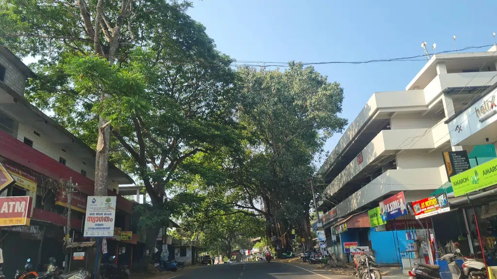 Government Taluk Hospital Balussery