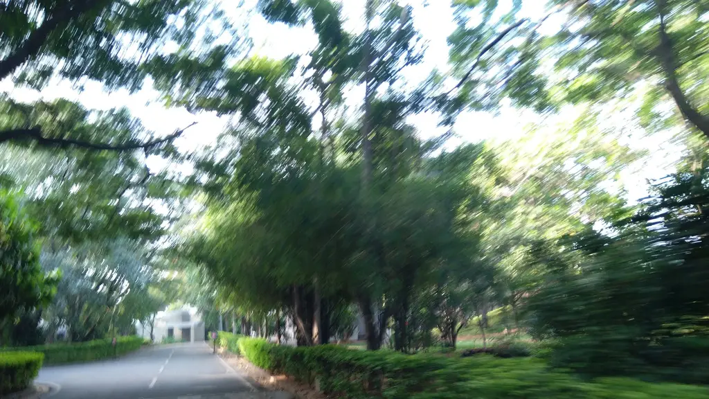Spicmacay -  IIMB