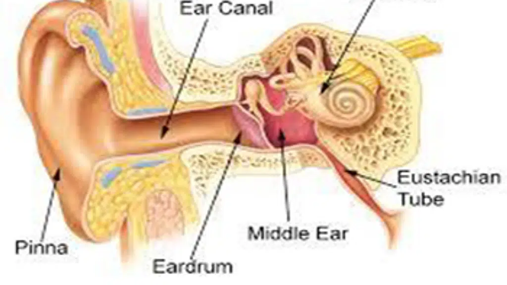 Dr. Waghela's ENT and Endoscopy Clinic