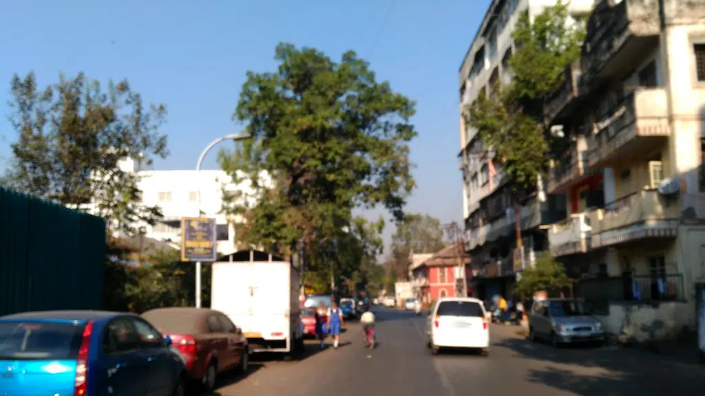 Doctor Pradnya Dhokrikar