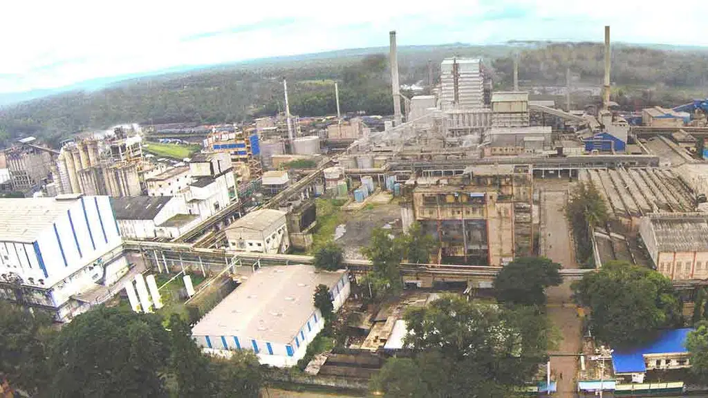West Coast Paper Mills Limited