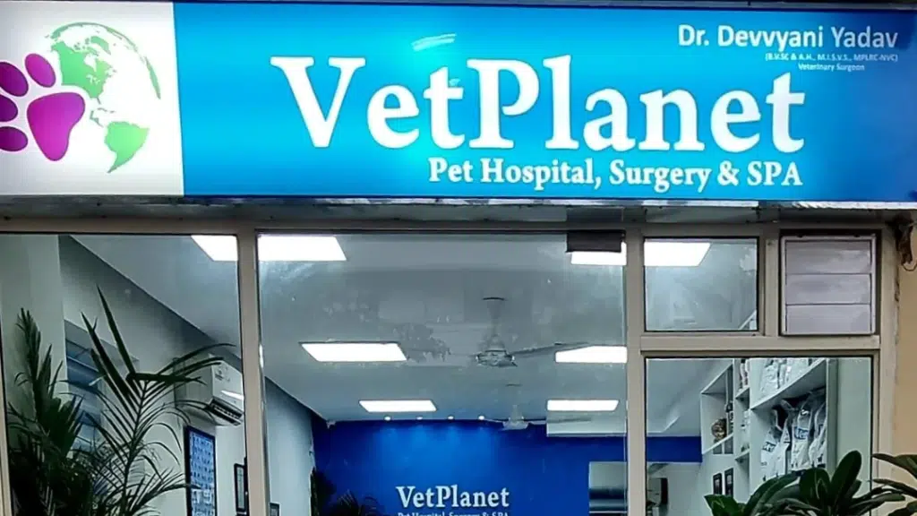 Vet Planet