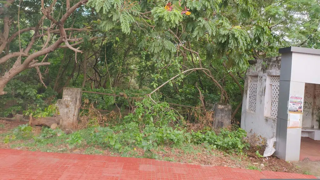 Coastal Dhaba