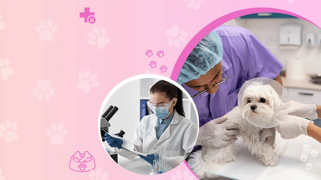 Apex Pet Health Care ( Pathology & Diagnostic center) Head Office