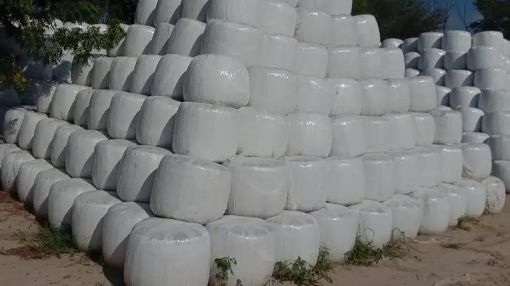 Cowbell Silages