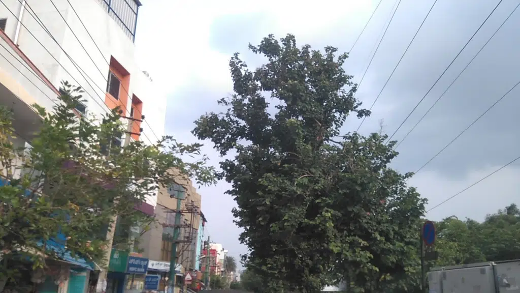 Balamuri Sri Siddi Vinayaka Temple