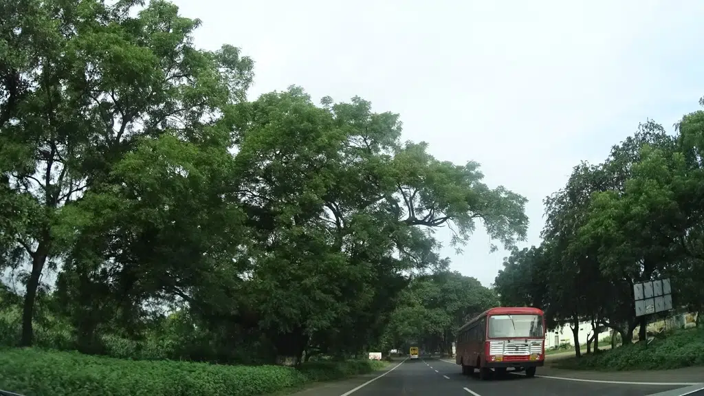 Choudhary Freight Carriers