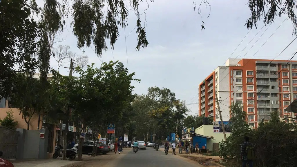 Dr Mayuri Patil's Magnus Homeopathy Clinic