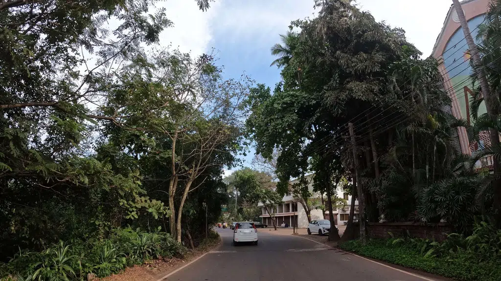 Goa Liquor Mart & Kaju