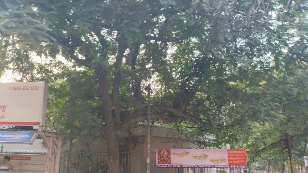 krishna safety nets
