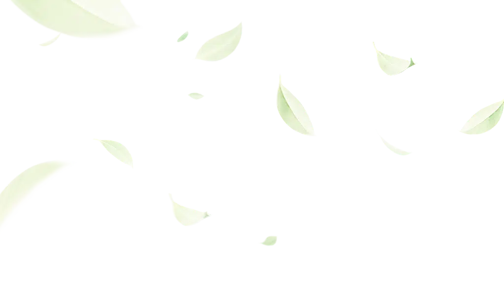 The Ananda Bag Tea Company