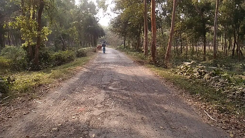 Bhaktivedanta Academy Mayapur