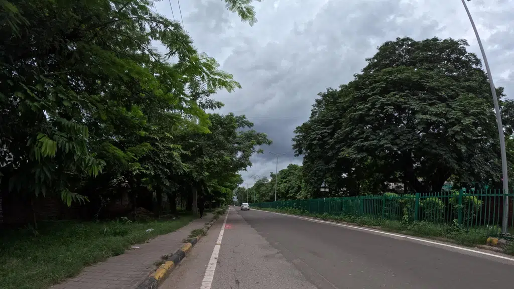 Bharat Medicos