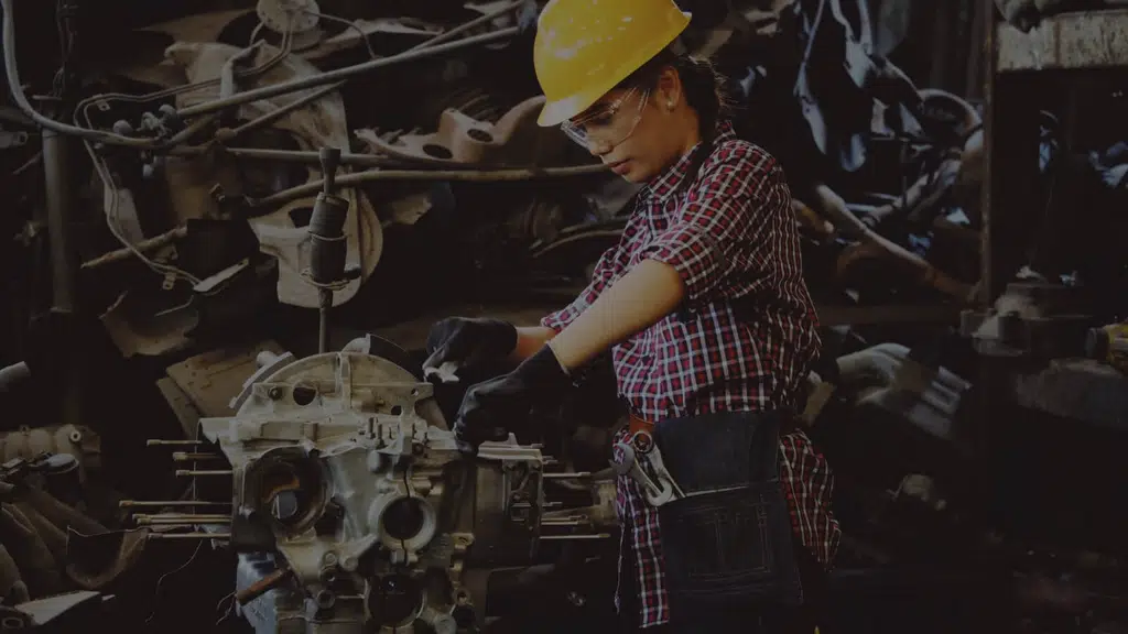 Mechanic Labs