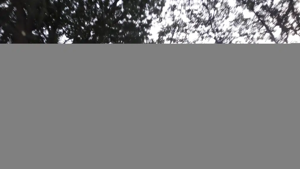 Pattabhi Sports Club