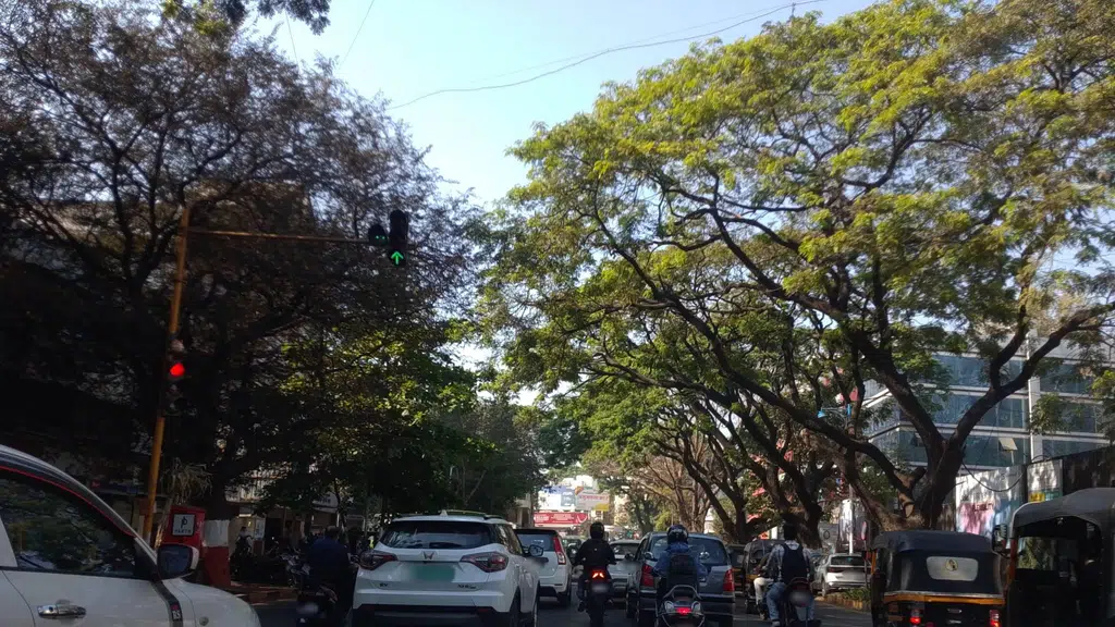 Houz- On The Top