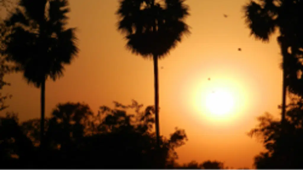 Bipratikuri